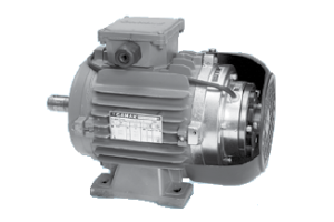 frenli-motor